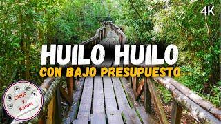 HUILO HUILO EN VERSIÓN ECONÓMICA | CHILE | 4K |