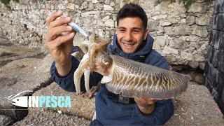 EGING fishing on rocky bottoms | Cuttlefish catches with Catch & Release