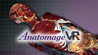 Anatomage VR: Real Anatomy In Virtual Reality