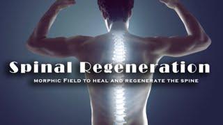 Spinal Regeneration (Morphic Field to Heal the Entire Spine Including Herniated Discs)