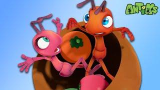 How Berry Thrilling! |  Antiks & Insectibles  | Funny Cartoons for Kids | Moonbug