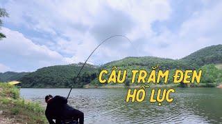 Câu Cá Trắm Đen Hồ Lục Yên Bái | Chung Nguyễn Fishing