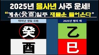 2025년 을사(乙巳)년 태어난 사주의 일주가 계유(癸酉)일주 사람들의 돈복,재물복, 건강운세 및 반드시 주의 해야 할 것!