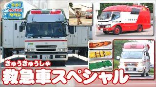 【のりもの図鑑】救急車スペシャル（スーパーアンビュランス・消防救急車｜はたらくくるま）