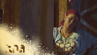 ሙሉ ክፍል 19 – አደይ | ምዕራፍ 1 | ክፍል 19 | አቦል ቲቪ – Adey | Season 1 | Episode 19 | Abol TV