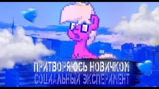 ️-СОЦИАЛЬНЫЙ ЭКСПЕРИМЕНТ | ПРИТВОРЯЮСЬ НОВИЧКОМ-️