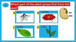 KIDS QUIZ ON PLANTS || PART 34 || SCIENCE QUIZ || KIDS GK ON PLANTS || GENERAL KNOWLEDGE FOR KIDS