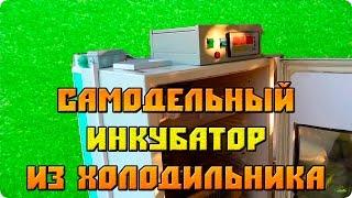 Самодельный инкубатор для яиц из холодильника