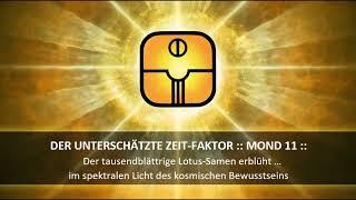 VOLLBRACHT :: 11. MOND der Befreiung :: Der unterschätzte Zeit~Faktor