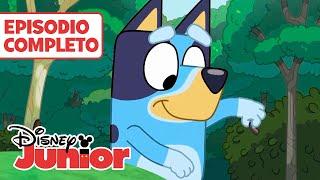 BLUEY:  El arroyo  | CONTENIDO ACCESIBLE: AD | EPISODIO COMPLETO | @DisneyJuniorES