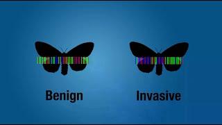 DNA Barcoding