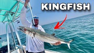 Trolling BIG LURES Offshore for AGGRESSIVE FISH! (Catch, Clean, Cook)