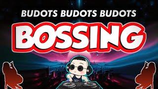 BOSSING ( KRZ BUDOTS )