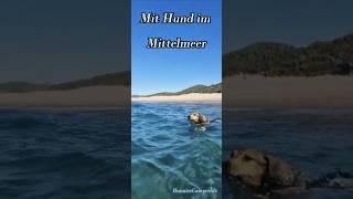 Mit Hund im Mittelmeer