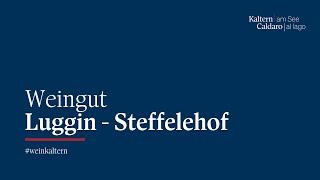 Weingut Kaltern | Luggin - Steffelehof