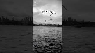 ادا كونتي معصب اجي ترتاح  #اكسبلور #قران_كريم #لايك #الاشتراك #قرآن #قصص #shorts