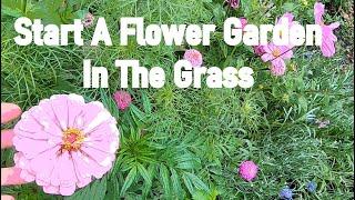 Start a flower garden from seed right in grass