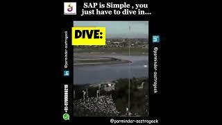  SAP is Not as Simple as It Seems - It’s an Ocean! 