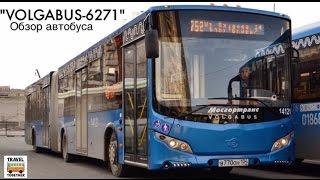 Новинка в Москве! "VOLGABUS-6271" Обзор автобуса | Вus overview "VOLGABUS-6271"