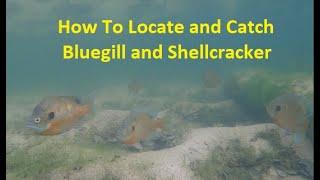 How to find and catch loads of bluegill and shellcrackers.  #breamfishing