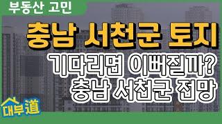 기다리면 이뻐질까? 충남 서천군 종천면 토지 전망 | 부동산 고민 상담