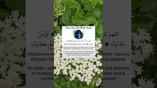 #viralDu'a for the best Soul  #shorts s