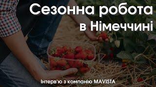 Сезонна робота для студентів та українців по §24. Збір полуниці в Німеччині