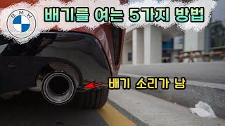 How to BMW Exhaust Flap Open (5 Ways)