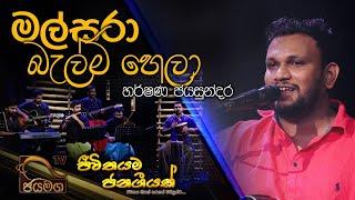 Malsara Balma hela | මල්සරා බැල්ම හෙලා I  Harshana Jayasundara I Sinhala Songs