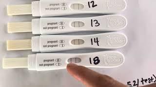 Comparing early result pregnancy tests (First Response, Clear Blue, Wondfo, Premom & Mommed)