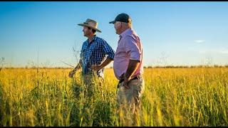 Elders NSW | 'Benah', Coonamble