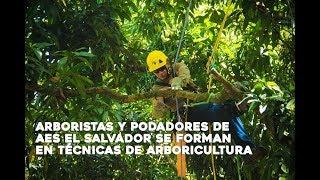 AES El Salvador impulsa la arboricultura en el país