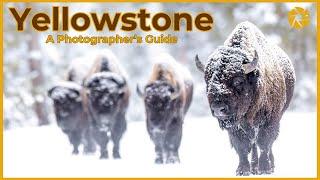 Guts and Janine's Yellowstone Photo Tour