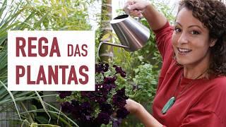 TRUQUES de OURO para MELHORAR a REGA das PLANTAS