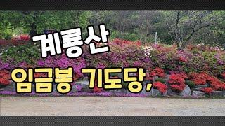 #계룡산 임금봉 굿당의 봄 ,,,,