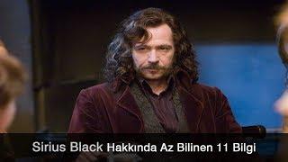 Harry Potter'ın Vaftiz Babası | Sirius Black Hakkında Az Bilinen 11 Bilgi