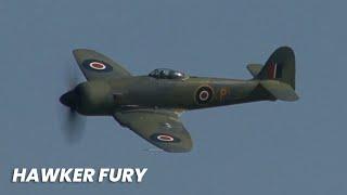 Beautiful Hawker Fury FB.11 Display - Eastbourne Airshow 2022