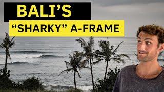 Surfing Balian (Bali’s “Sharky” Spot) || What’s it Actually Like!?