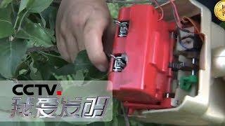 《我爱发明》 智慧农田9：苹果自动套袋机 鲜莲剥蓬机 紫菜收割机 20190711 | CCTV科教