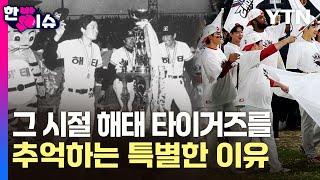 우승팀의 구슬픈 응원가 ...5·18과 해태 타이거즈 [와이파일]  / YTN