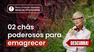 2 CHÁS naturais para EMAGRECER e DESINFLAMAR