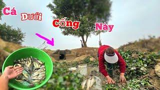 Trời Ơi..Bắt Cá Đã Tay Dưới Miệng Cống Hoang Và Lắp Đèn Nháy Avi Chơi Tết.//Long Đen