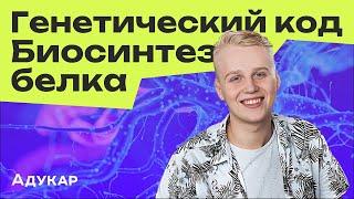 Генетический код | Биосинтез белка | Биология ЦЭ, ЦТ