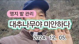 이제 밭 같아요|맹지 대추밭 2일차 정리|선재작은농장tv