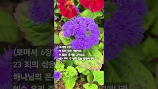 말씀찬양 롬 6:23 주와 함께 죽고 주와 함께 살리라
