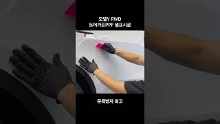 테슬라 모델Y RWD 도어가드 PPF 셀프시공