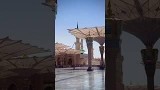 Ise Kahte Hain Jannat Ka Nazara Hum Bhi Dekhenge!!#youtube #tareeqjamel #islamicscholar #motivation