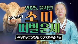 2025년 기대하셔도 좋습니다 을사년 대박이 기다리는 소띠 운세 "대박의 기운이 기다리는 소띠 몇년생!? "[양주용한점집]