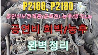 P2188, P2190 공연비 보정 계통(공회전)-농후(뱅크1,2)