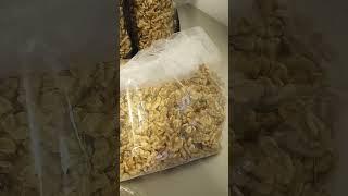 BetterWalnuts.com Bulk Walnut Saver Packaging | How to save on farm direct walntus